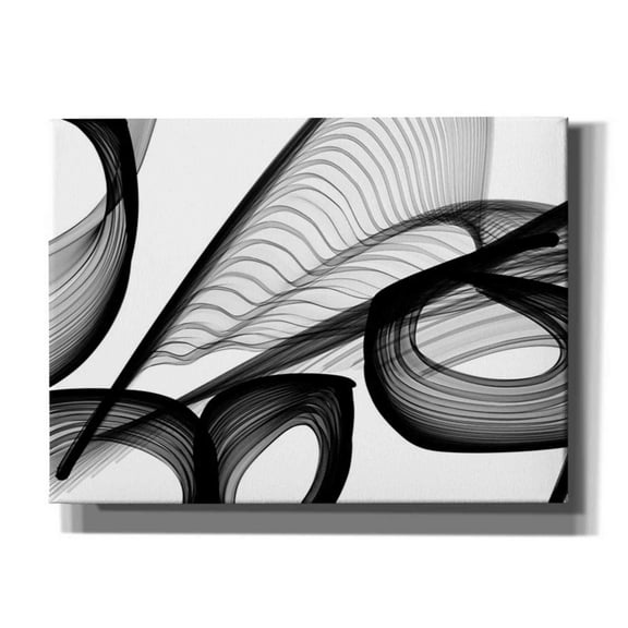 Epic Graffiti 'Abstract Black and White 22-21' by Irena Orlov, Canvas Wall Art, 54"x40"