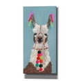 thumbnail image 1 of Epic Graffiti 'Adorned Llama I' by Victoria Borges Canvas Wall Art, 20"x40", 1 of 3