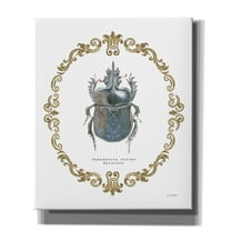 Epic Graffiti 'Adorning Coleoptera IV' by James Wiens, Canvas Wall Art, 20"x24"