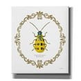 thumbnail image 1 of Epic Graffiti 'Adorning Coleoptera VII' by James Wiens, Canvas Wall Art, 26"x30", 1 of 2