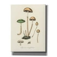 thumbnail image 1 of Epic Graffiti 'Agaricus Semiglobatus'  by Art Licensing Studio Canvas Wall Art, 12" x 16", 1 of 8