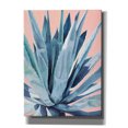 thumbnail image 1 of Epic Graffiti 'Agave With Coral by Alana Clumeck Giclee Canvas Wall Art, 40"x54", 1 of 8