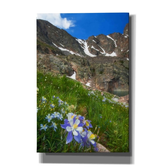Epic Graffiti 'Alpine Columbine - Rocky Mountain National Park' by Darren White, Giclee Canvas Wall Art, 12"x18"