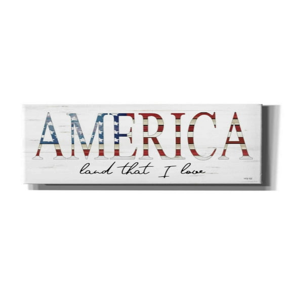 Epic Graffiti 'America Land That I Love' by Cindy Jacobs, Canvas Wall Art, 60"x20"