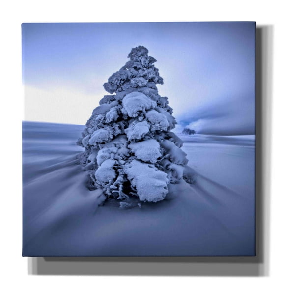 Epic Graffiti 'And the Wind Blows' by Philippe Sainte-Laudy, Canvas Wall Art, 26"x26"