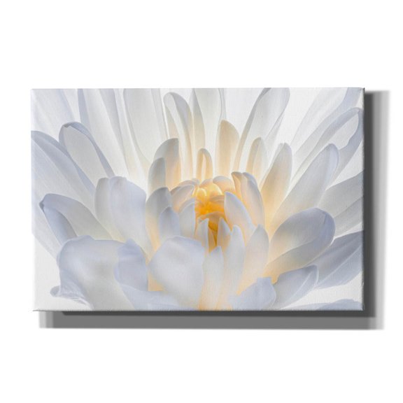 Epic Graffiti 'Angle Wings' by Pamela Plummer, Canvas Wall Art, 18"x12"