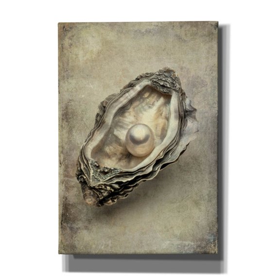 Epic Graffiti 'Antique Shell' by Svetlana Aleynikova Canvas Wall Art, 18" x 26"