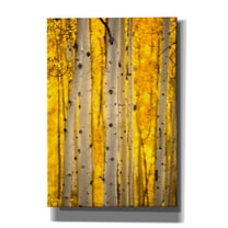 Epic Graffiti 'Aspen Trees' by Jonathan Ross, Canvas Wall Art, 18"x26"