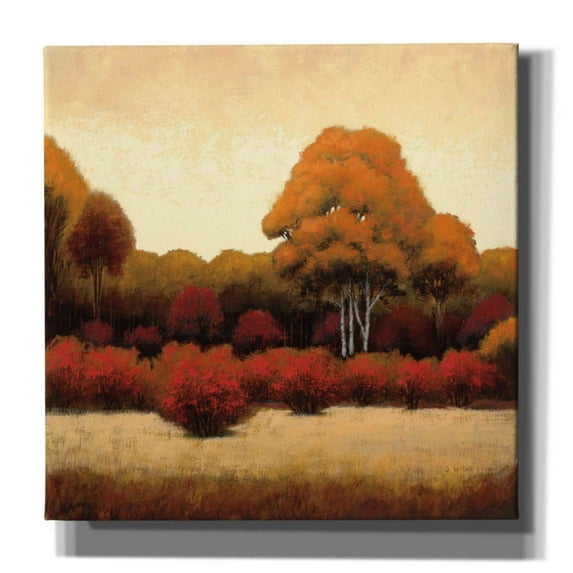 Epic Graffiti 'Autumn Forest I' by James Wiens, Canvas Wall Art, 12"x12"