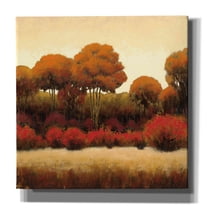 Epic Graffiti 'Autumn Forest II' by James Wiens, Canvas Wall Art, 12"x12"