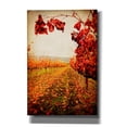 thumbnail image 1 of Epic Graffiti 'Autumn Vines' by Jessica Rogers, Canvas Wall Art, 40"x60", 1 of 8