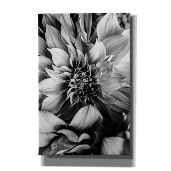 Epic Graffiti 'B&W Flower 4' by Incado, Giclee Canvas Wall Art, 26"x40"