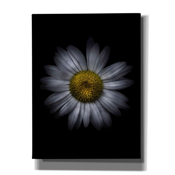 Epic Graffiti 'Backyard Flowers 13 Color Version' by Brian Carson, Giclee Canvas Wall Art, 12"x16"