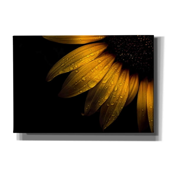 Epic Graffiti 'Backyard Flowers 28 Sunflower' by Brian Carson, Giclee Canvas Wall Art, 26"x18"
