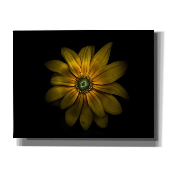 Epic Graffiti 'Backyard Flowers 34 Color Version' by Brian Carson, Giclee Canvas Wall Art, 34"x26"