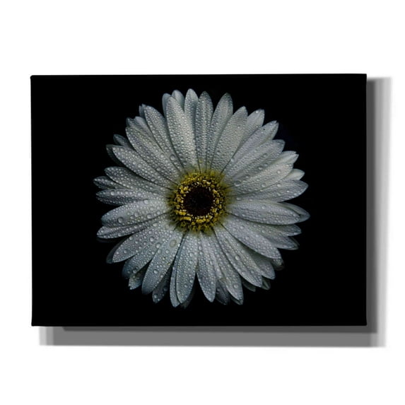 Epic Graffiti 'Backyard Flowers 71 Color Version' by Brian Carson, Giclee Canvas Wall Art, 16"x12"