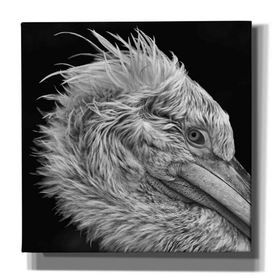 Epic Graffiti 'Bad Hairday' by Epic Portfolio Giclee Canvas Wall Art, 37"x37"