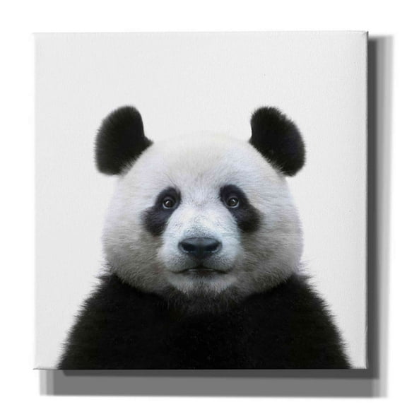 Epic Graffiti 'Bamboo Bear' by Epic Portfolio Giclee Canvas Wall Art, 12"x12"