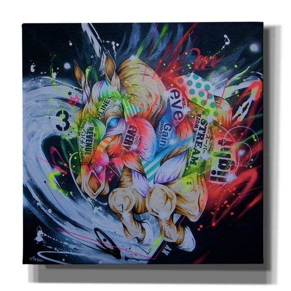 Epic Graffiti 'Barrel' by Taka Sudo, Canvas Wall Art, 37"x37"