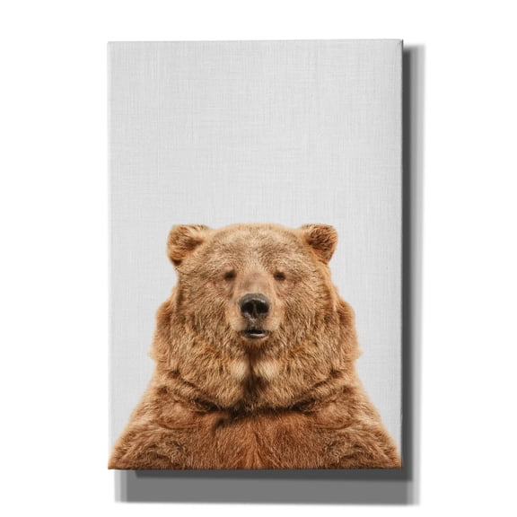 Epic Graffiti 'Bear' by Tai Prints, Canvas Wall Art, 18"x26"