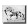 thumbnail image 1 of Epic Graffiti 'Beautiful Floral Horse 1-4' by Irena Orlov, Canvas Wall Art, 16"x12", 1 of 3