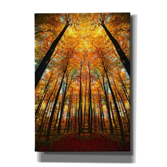 Epic Graffiti 'Beginning of Autumn' by Philippe Sainte-Laudy, Canvas Wall Art, 18"x26"