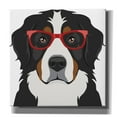 thumbnail image 1 of Epic Graffiti 'Bernese Mountain Dog Wearing Hipster Glasses' by Furbaby Affiliates, Canvas Wall Art, 12"x12", 1 of 8