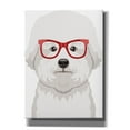 thumbnail image 1 of Epic Graffiti 'Bichon Wearing Hipster Glasses' by Furbaby Affiliates, Canvas Wall Art, 40"x54", 1 of 8