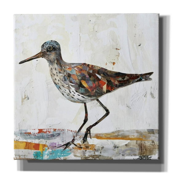 Epic Graffiti 'Bird Collage' by Svetlana Aleynikova Canvas Wall Art, 37" x 37"