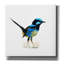 Epic Graffiti 'Bird Collection 21' by Ata Alishahi, Giclee Canvas Wall Art, 37"x37"