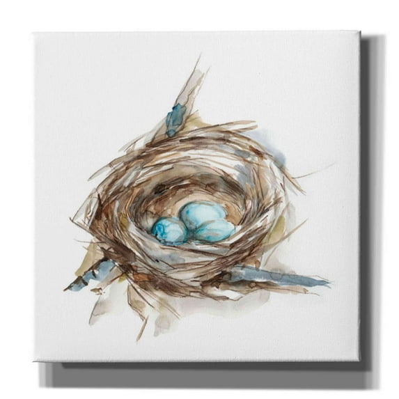 Epic Graffiti 'Bird Nest Study II' by Ethan Harper, Canvas Wall Art, 37"x37"