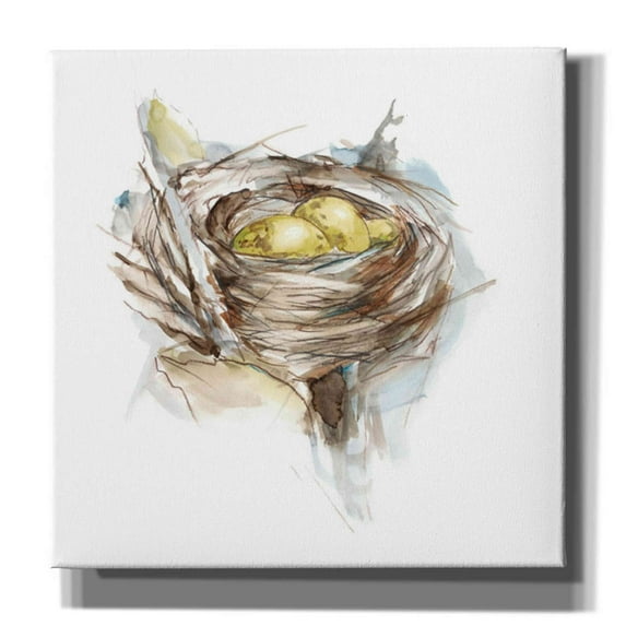 Epic Graffiti 'Bird Nest Study III' by Ethan Harper, Canvas Wall Art, 12"x12"