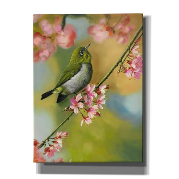 Epic Graffiti 'Birds & Blossoms' by Patricia Feathers, Canvas Wall Art, 40"x54"