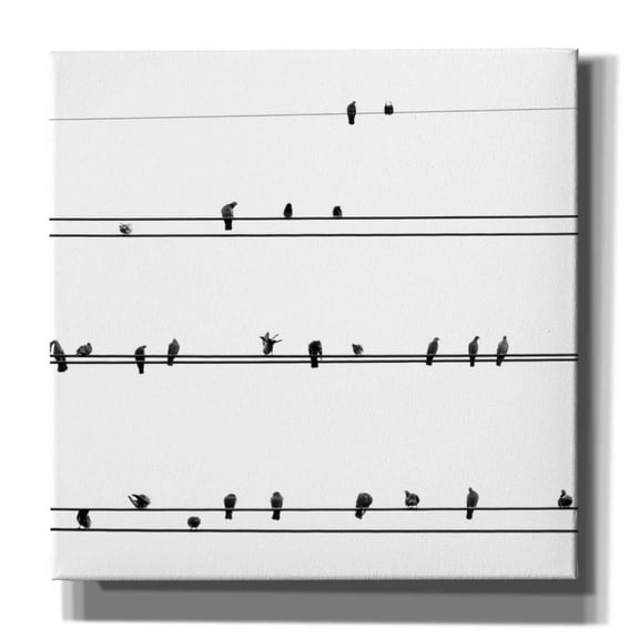 Epic Graffiti 'Birds on the Line' by Incado, Giclee Canvas Wall Art, 12"x12"