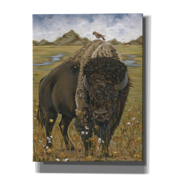 Epic Graffiti 'Bison' by Hollihocks Art, Giclee Canvas Wall Art, 12"x16"