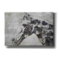 thumbnail image 1 of Epic Graffiti 'Black Ghost Horse 2' by Irena Orlov, Canvas Wall Art, 18"x12", 1 of 3