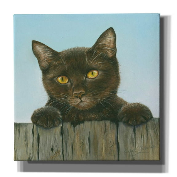 Epic Graffiti 'Black Kitten' by Janet Pidoux, Canvas Wall Art, 26"x26"
