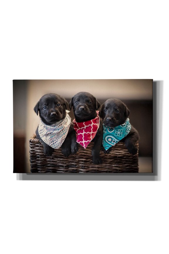 'Black Lab Pups 2' by Jonathan Ross, Canvas Wall Art, 18"x12"