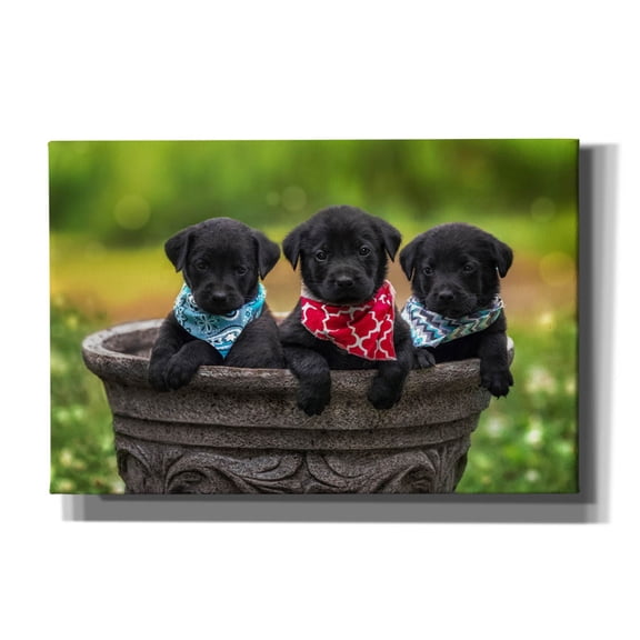 Epic Graffiti 'Black Lab Pups 8' by Jonathan Ross, Canvas Wall Art, 18"x12"