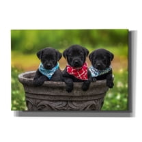 Epic Graffiti 'Black Lab Pups 8' by Jonathan Ross, Canvas Wall Art, 26"x18"