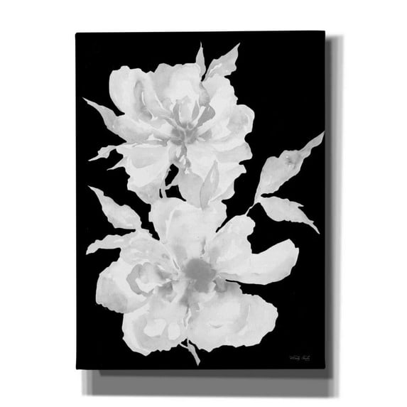 Epic Graffiti 'Black & White Flowers I' by Cindy Jacobs, Canvas Wall Art, 40"x54"