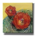 thumbnail image 1 of Epic Graffiti 'Blooming Succulent I' by Carol Rowan, Giclee Canvas Wall Art, 12"x12", 1 of 8