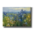 thumbnail image 1 of Epic Graffiti 'Blue And Yellow Flower Field V2' by Carol Rowan, Giclee Canvas Wall Art, 26"x18", 1 of 2