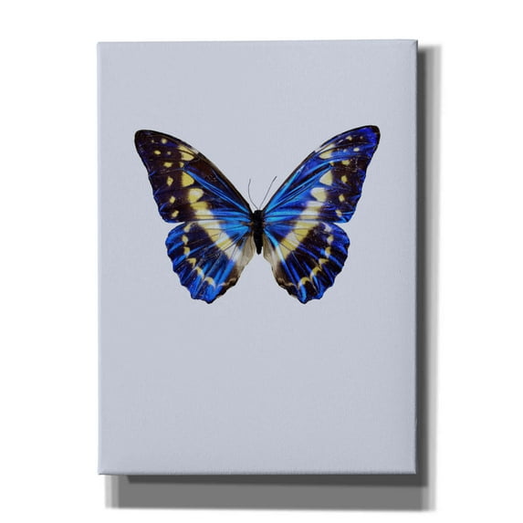 Epic Graffiti 'Blue Butterfly' by Incado, Giclee Canvas Wall Art, 40"x54"