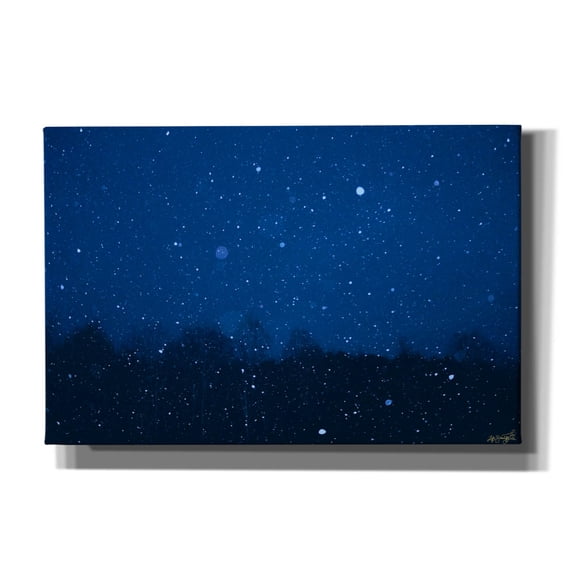 Epic Graffiti 'Blue Night Winter Forest 2' by Life BeautifuLEE Canvas Wall Art, 60" x 40"