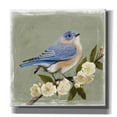 thumbnail image 1 of Epic Graffiti 'Bluebird Branch I' by Victoria Borges, Canvas Wall Art, 26"x26", 1 of 2