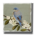 thumbnail image 1 of Epic Graffiti 'Bluebird Branch II' by Victoria Borges, Canvas Wall Art, 12"x12", 1 of 2