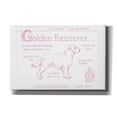 thumbnail image 1 of Epic Graffiti  'Blueprint Golden Retriever in Pink' by Ethan Harper Giclee Canvas Wall Art, 18"x12" 40 x 26, 1 of 3