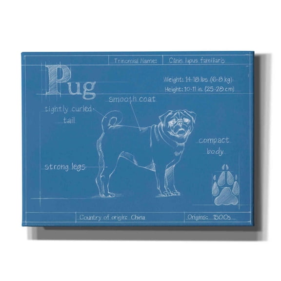 Epic Graffiti 'Blueprint Pug' by Ethan Harper Canvas Wall Art, 16"x12"
