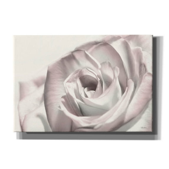 Epic Graffiti 'Blush Rose I' by Lori Deiter, Canvas Wall Art, 26"x18"
